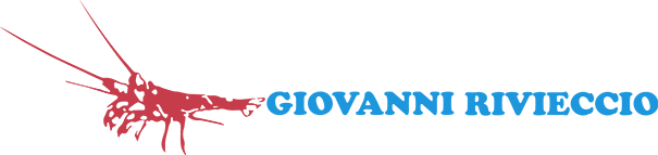 Giovanni Rivieccio Srl >> Commercio di prodotti ittici